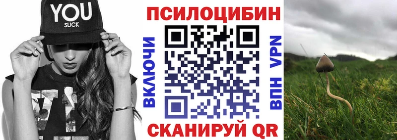 Галлюциногенные грибы мицелий  Купить  Челябинск 